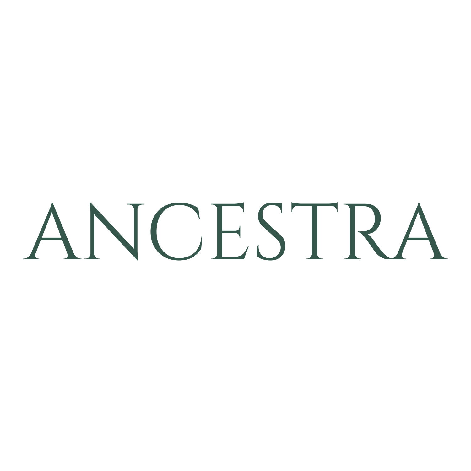 ancestra logo text